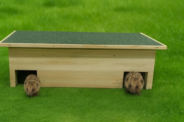 Hedgehog house made of pine wood with two entrances