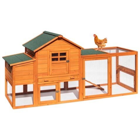 Gallinero, con área de ejercicio