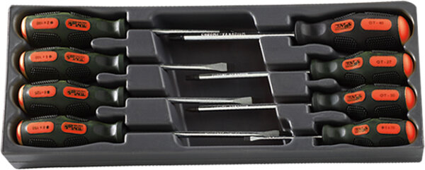 Jeu de tournevis - petit