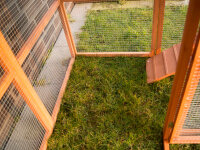 Chicken coop with run, rabbit hutch, small animal house