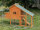 Chicken Coop with Run