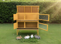 Rabbit Hutch, Double-Decker Small Animal House
