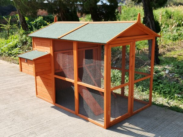 Poulailler, maison pour poules, extra haut