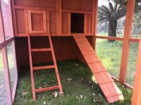 Gallinero, casa para gallinas, extra alto