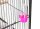 Medium-sized Bird Cage, Aviary